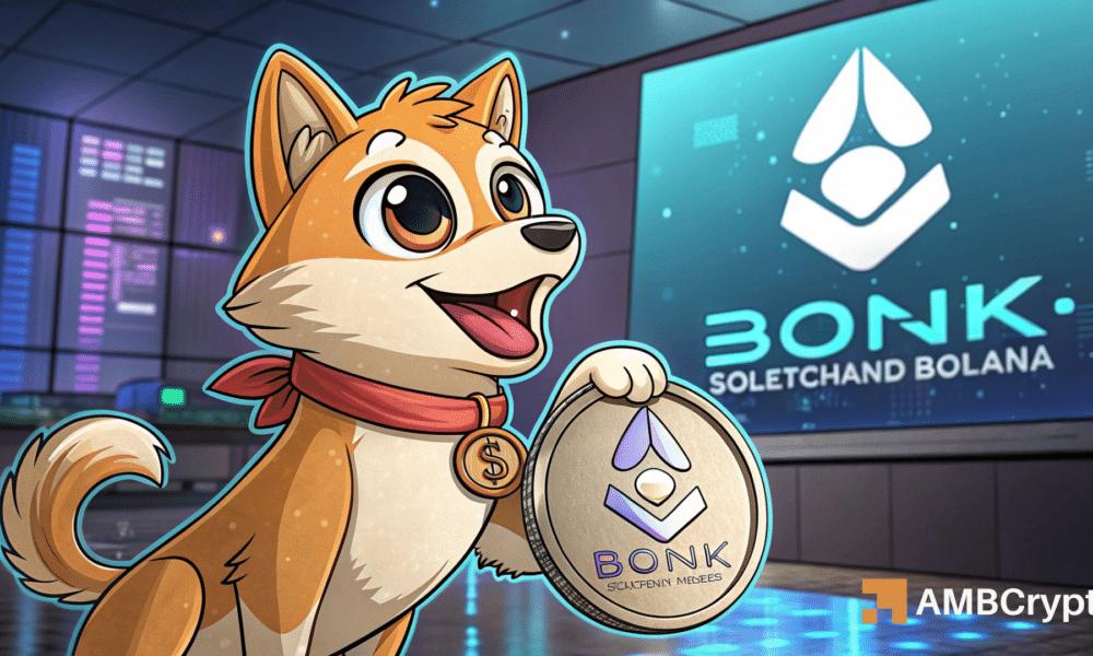 邦克(Bonk)下跌至关键支持:只有当…